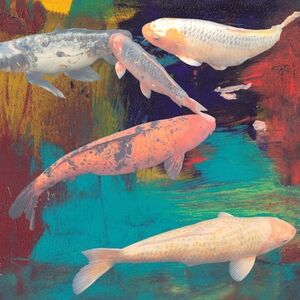 Meet your Posher, Susan